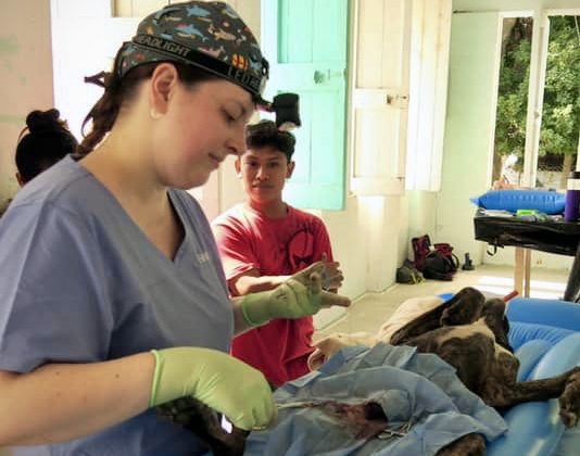 Clinique de stérilisation FAVI Sarteneja Belize