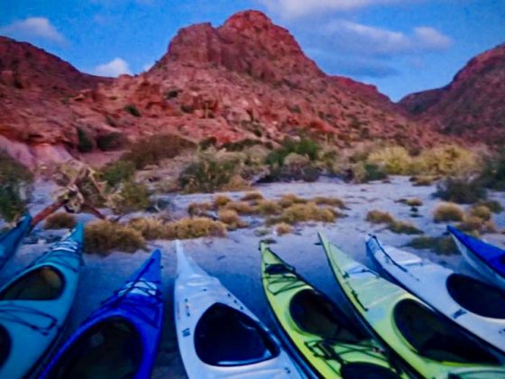 Camping-Kayak à Espiritu Santo, Baja California