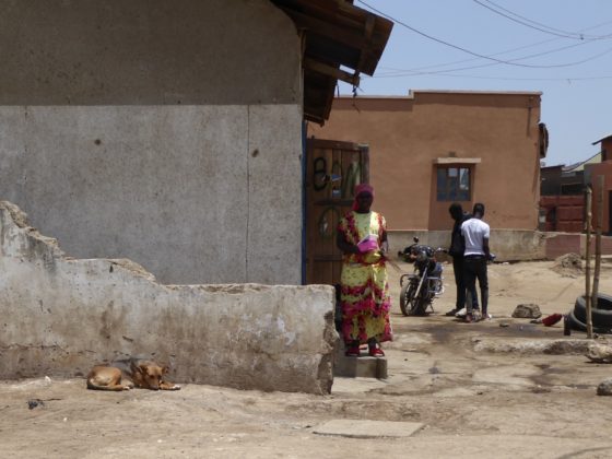 Un chien de communauté stérilisé et vacciné se repose dans son quartier à Arusha, Tanzanie