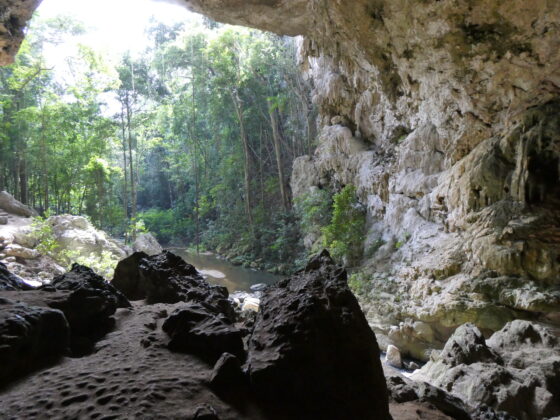 Visite d'une grotte près de San Ignacio lors de notre journée de congé