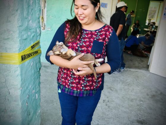 Une belizienne et son chien à la clinique FAVI à San Joaquin, Belize