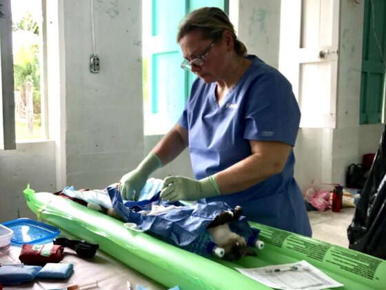 Chirurgie à la clinique FAVI au Belize