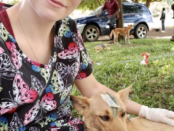 Julia, technicienne en santé animale bénévole à la clinique FAVI en Tanzanie