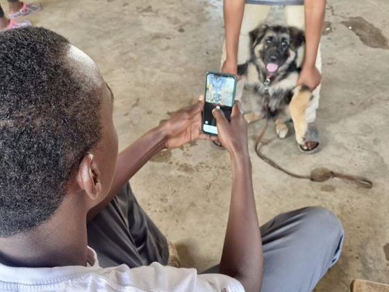 Projet reconnaissance faciale chez le chien en Tanzanie