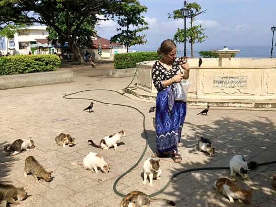 Dre Sofie nourrit les chat au parc Forodhani à Stone Town