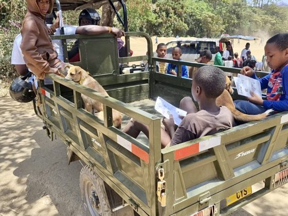 Transport collectif pour chiens en Tanzanie