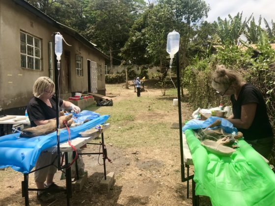 Chirurgie en plein air en Tanzanie