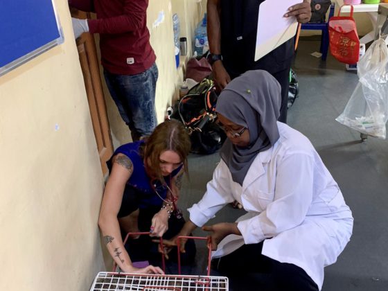 Courtnie, technicienne avec Asha et Nathan, deux vétérinaires en Tanzanie