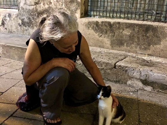 Dre Marie, vétérinaire bénévole, fondatrice de la FAVI et amoureuse des chats