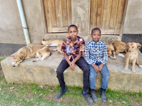 Des jeunes tanzaniens avec une petite famille de chiens