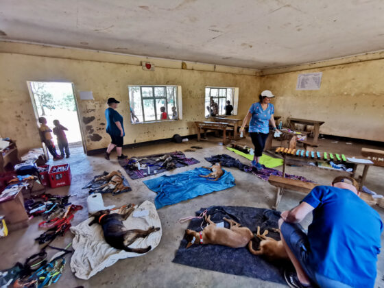 Station de réveil de la clinique FAVI dans une classe d'école primaire en Tanzanie