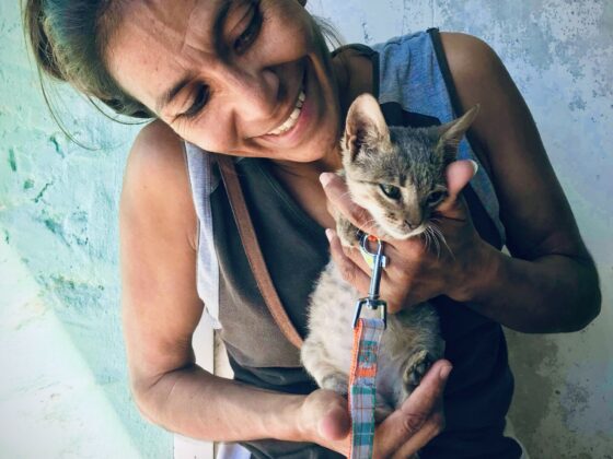 Une belizienne et son chaton à la clinique vétérinaire FAVI