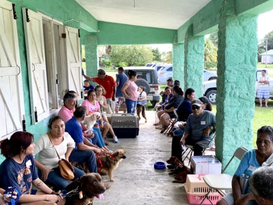 La clinique vétérinaire FAVI au Belize est très achalandée.
