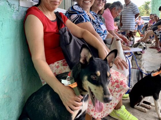 La clinique vétérinaire FAVI au Belize est très achalandée.