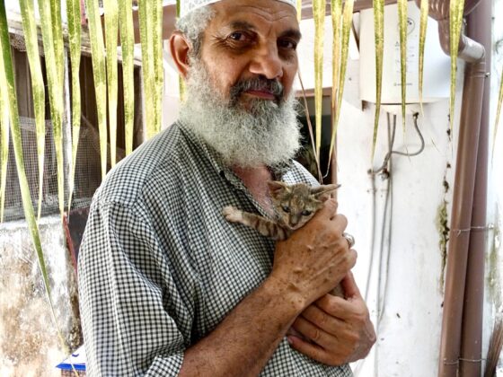 Un des gardiens des chats de Stone Town, Zanzibar